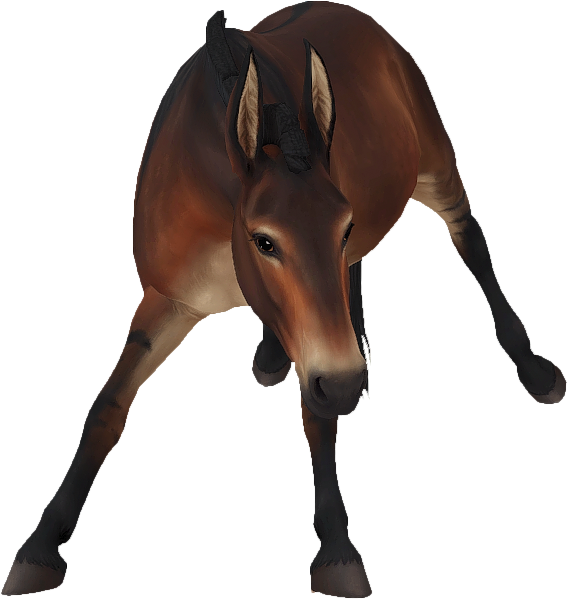 Mule in Star Stable Online