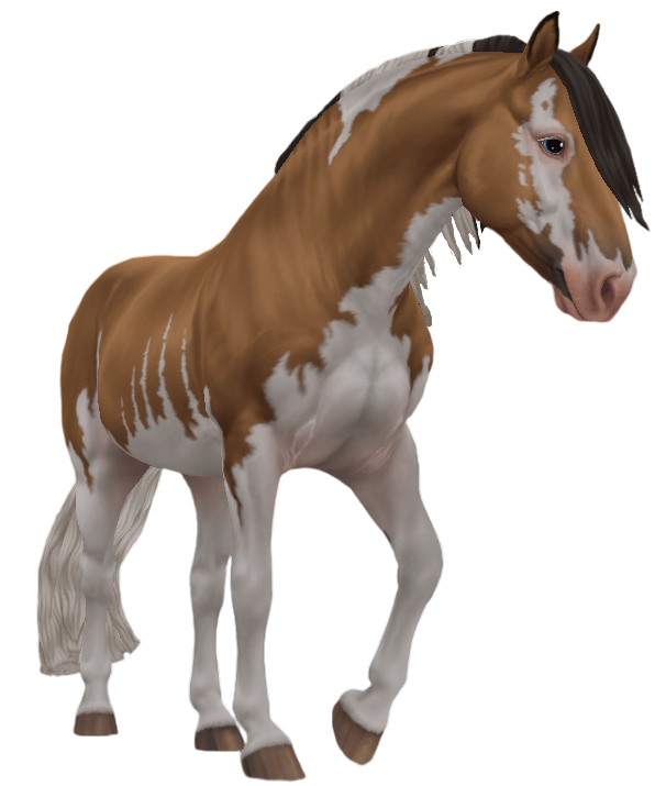 Criollo in Star Stable Online
