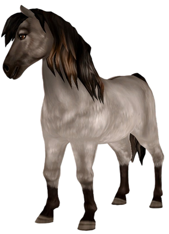 Icelandic Horse in Star Stable Online