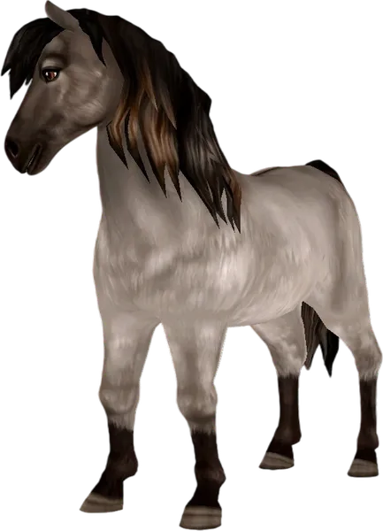 Icelandic Horse, Grullo