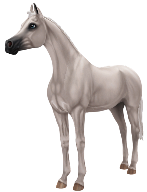 Arabian in Star Stable Online