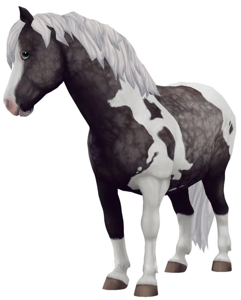 Jorvik Pony in Star Stable Online