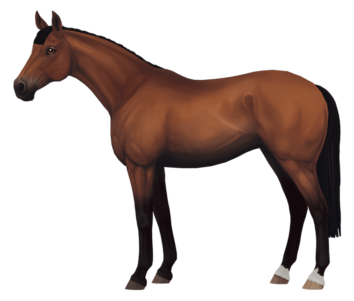 English Thoroughbred in Star Stable Online