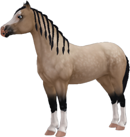 Welsh Pony in Star Stable Online