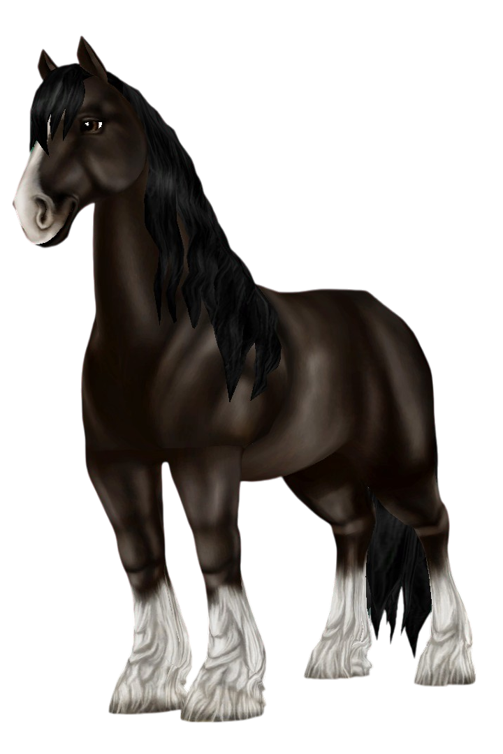 Shire in Star Stable Online