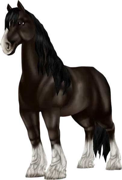 Shire, Faded Black