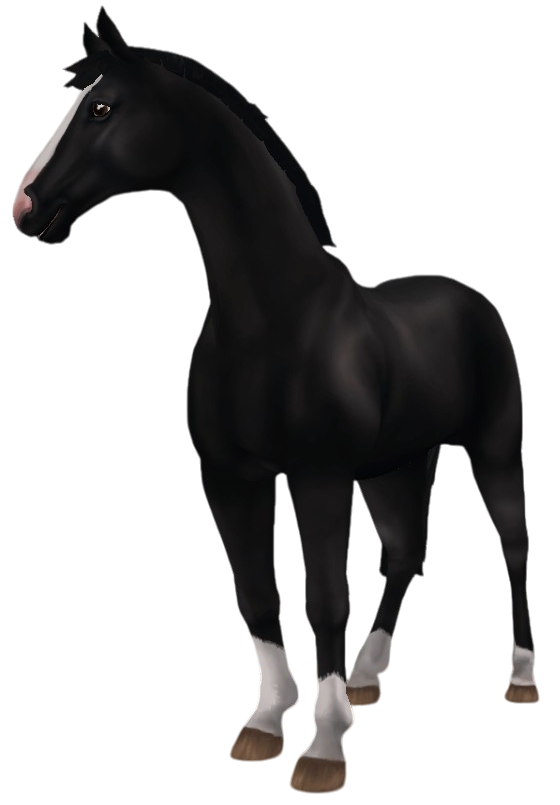 Hanoverian in Star Stable Online