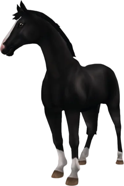 Hanoverian, Black
