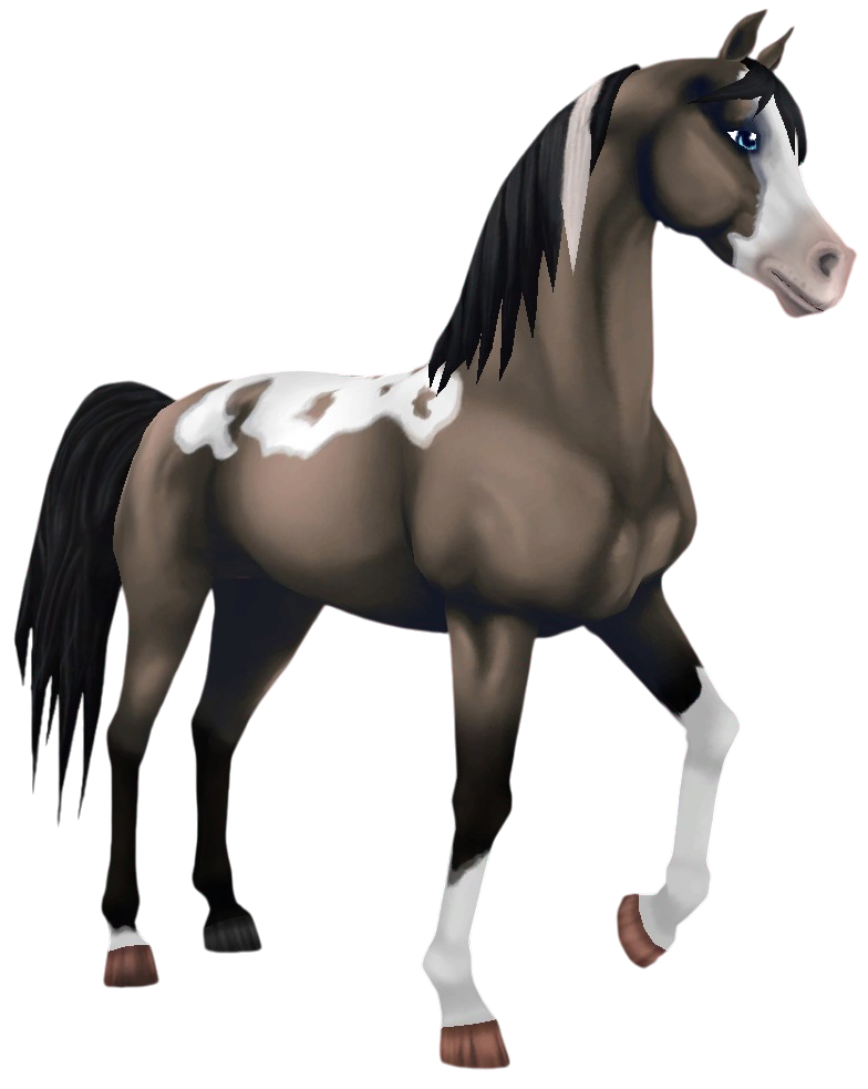 Pintabian in Star Stable Online