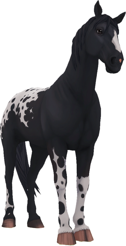 Knabstrupper in Star Stable Online