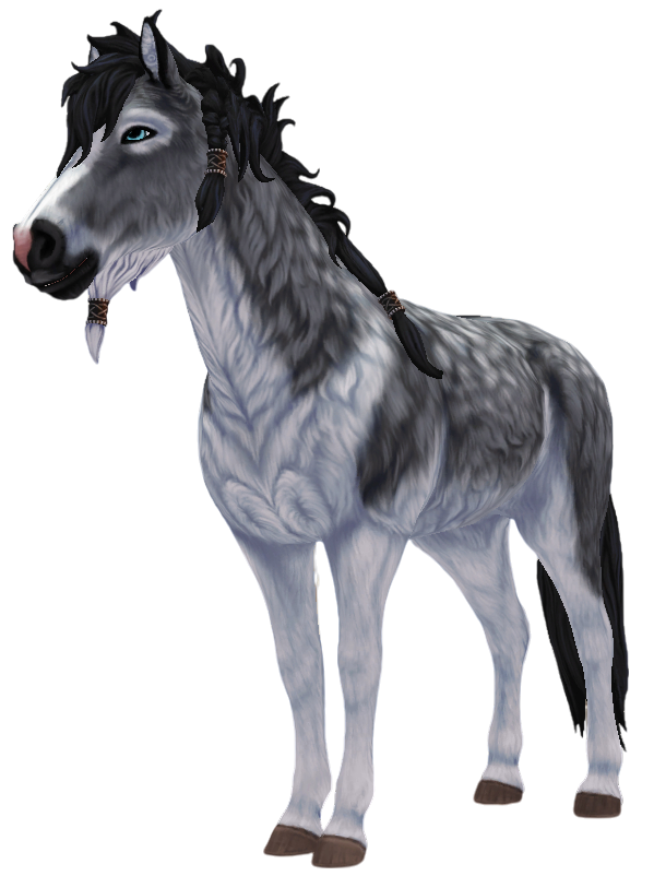 Curly Horse in Star Stable Online