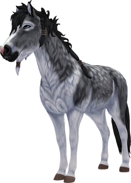 Curly Horse, Grullo Pinto