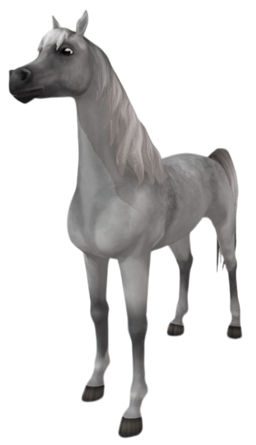 Arabian Thoroughbred in Star Stable Online