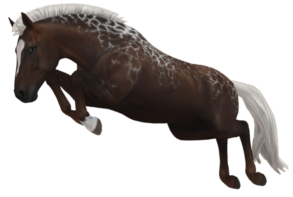 Hanoverian in Star Stable Online