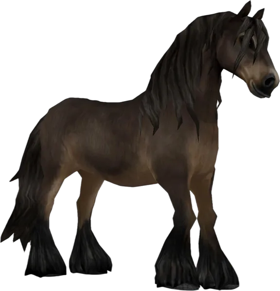 North Swedish Horse, Brown Pangaré