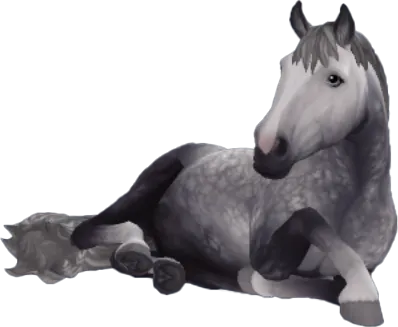 Finnhorse, Dapple Grey