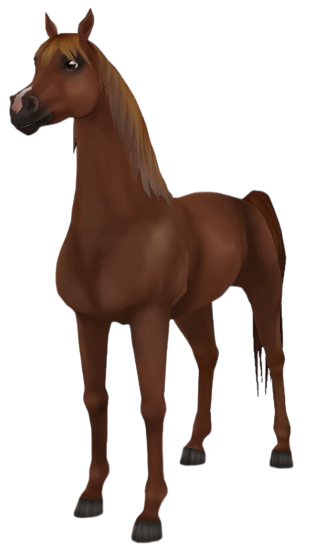 Arabian Thoroughbred in Star Stable Online