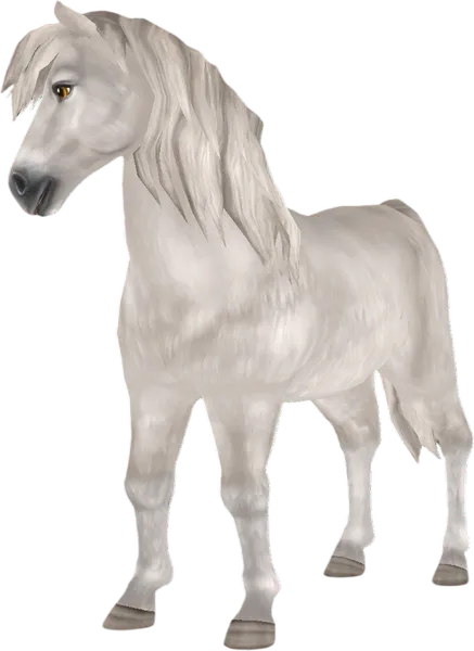 Icelandic Horse, Light Grey