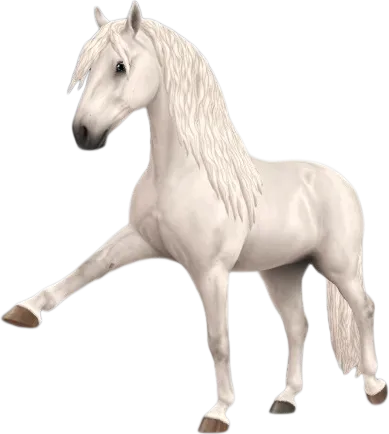 Andalusian, Light Grey