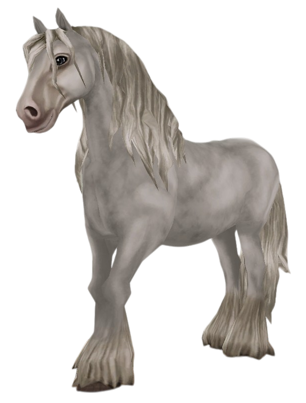 Irish Cob in Star Stable Online