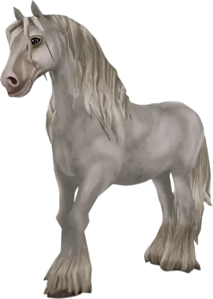 Irish Cob, Light Grey