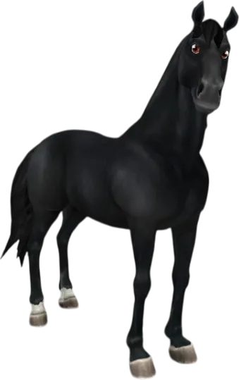 English Thoroughbred, Black