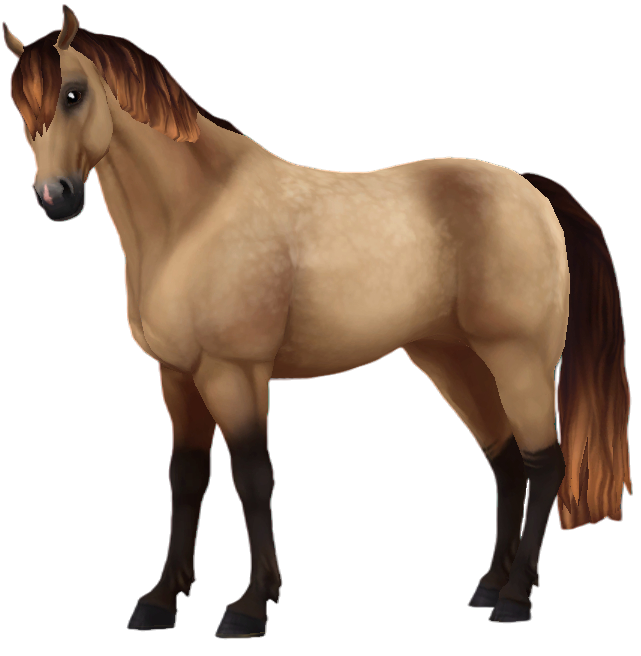 Jorvik Connemara in Star Stable Online