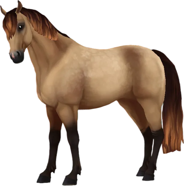 Jorvik Connemara, Dapple Buckskin