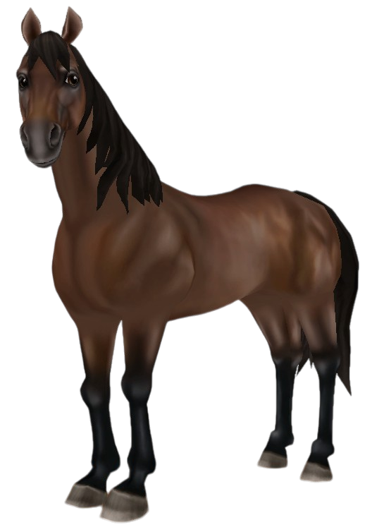 American Quarter Horse in Star Stable Online