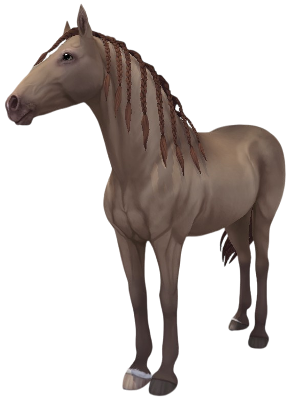 Paso Fino in Star Stable Online