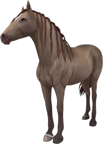 Paso Fino, Amber Champagne