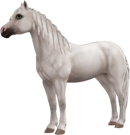 Welsh Pony in Star Stable Online