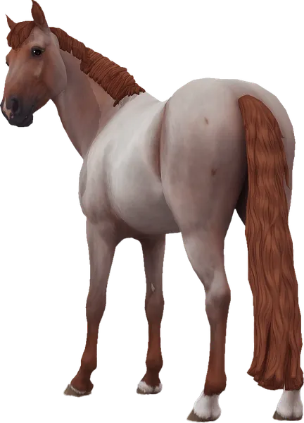 Jorvik Mountain Horse, Red Roan
