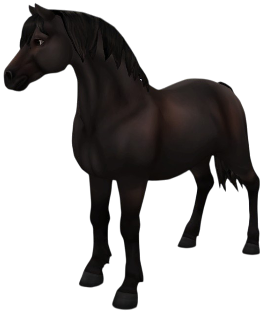 Welsh Pony in Star Stable Online