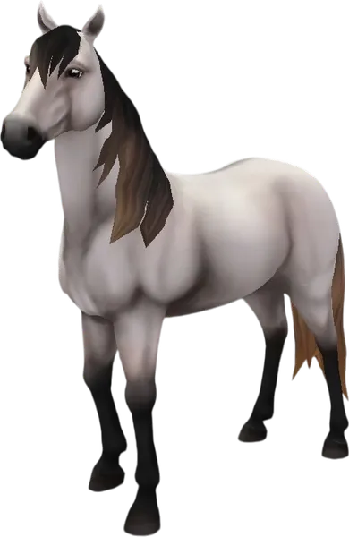 Mustang, Buttermilk Buckskin