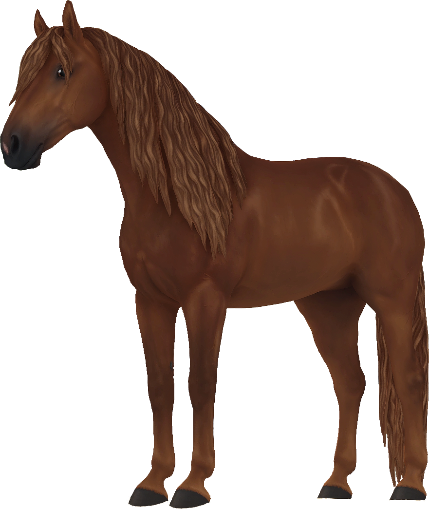 Andalusian in Star Stable Online