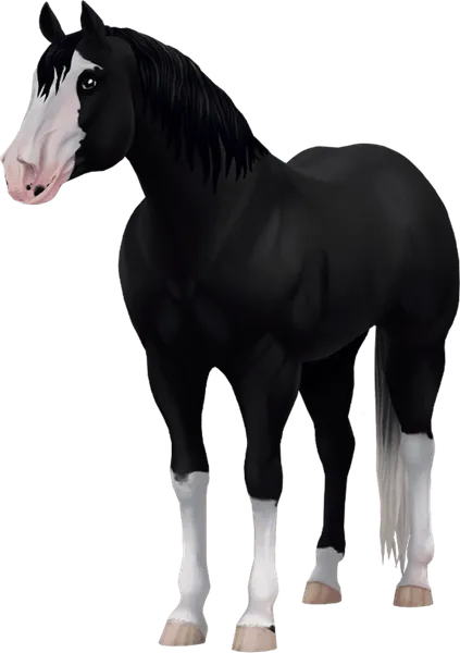 Jorvegian Quarter Horse, Black Splashed White