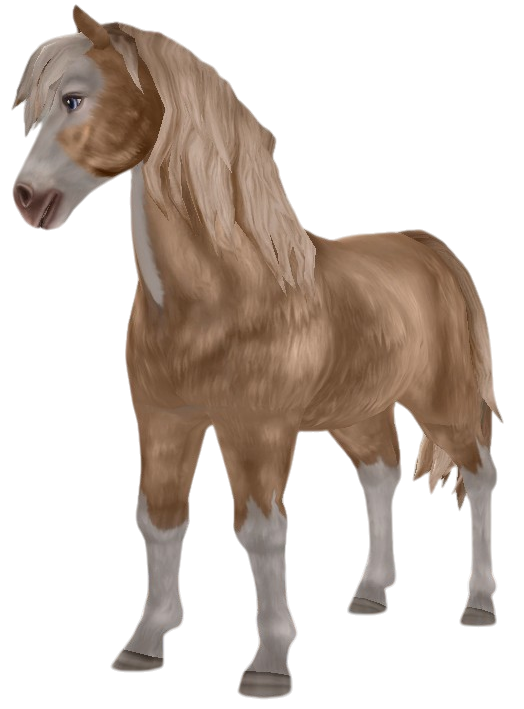 Icelandic Horse in Star Stable Online