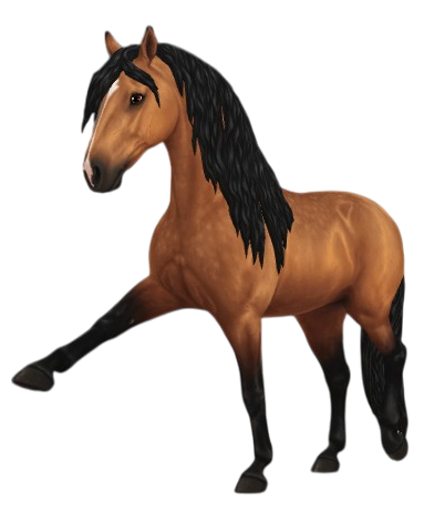 Andalusian in Star Stable Online