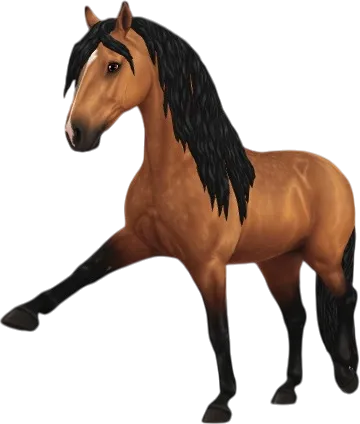 Andalusian, Buckskin