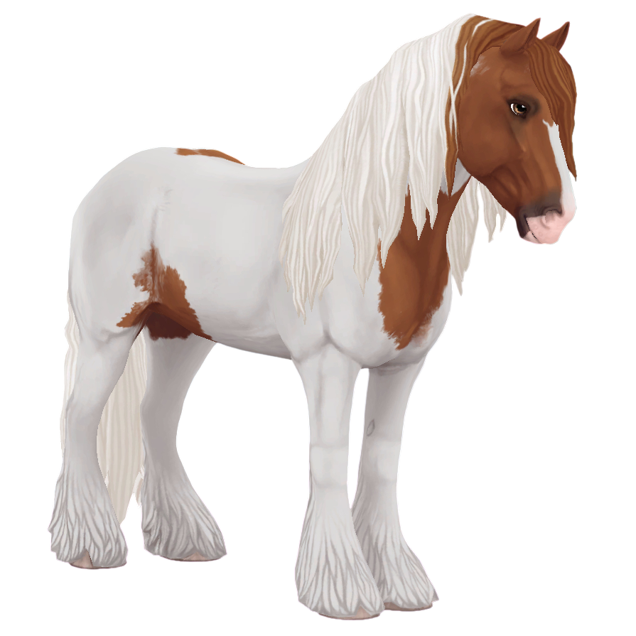 Irish Cob in Star Stable Online