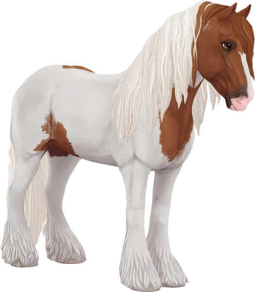Irish Cob, Chestnut Tovero