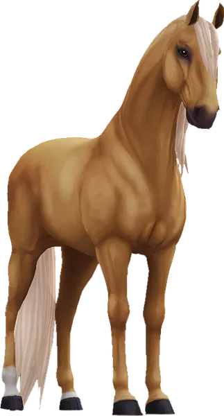 Lusitano, Palomino