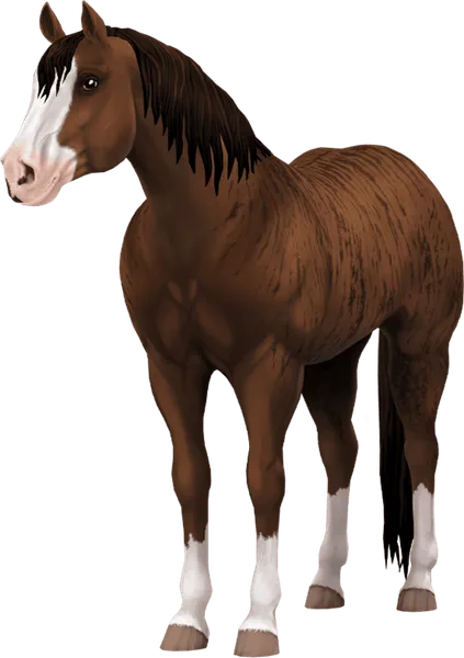 Jorvegian Quarter Horse, Bay Brindle