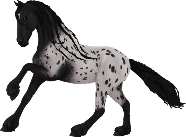 Friesian Sport Horse, Black Spotted Blanket