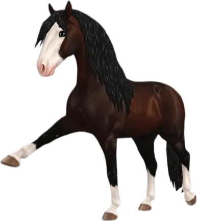Andalusian, Dark Bay Splashed White (Giltor)