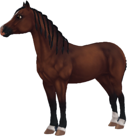 Welsh Pony in Star Stable Online