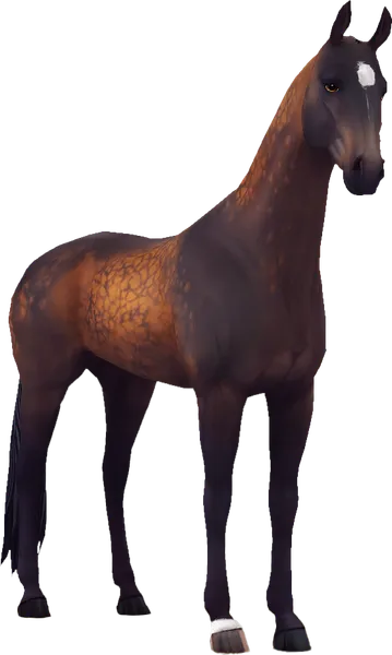 Akhal Teke, Sooty Dapple Bay