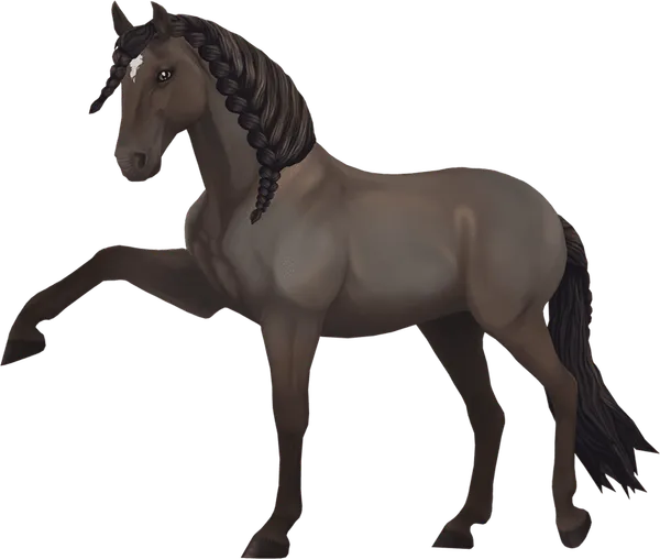 Jorvik Andalusian, Black Pearl