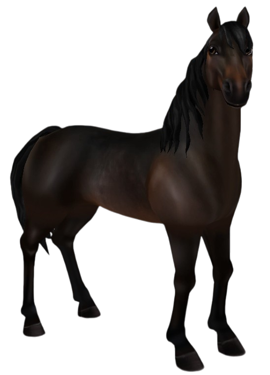 Morgan in Star Stable Online